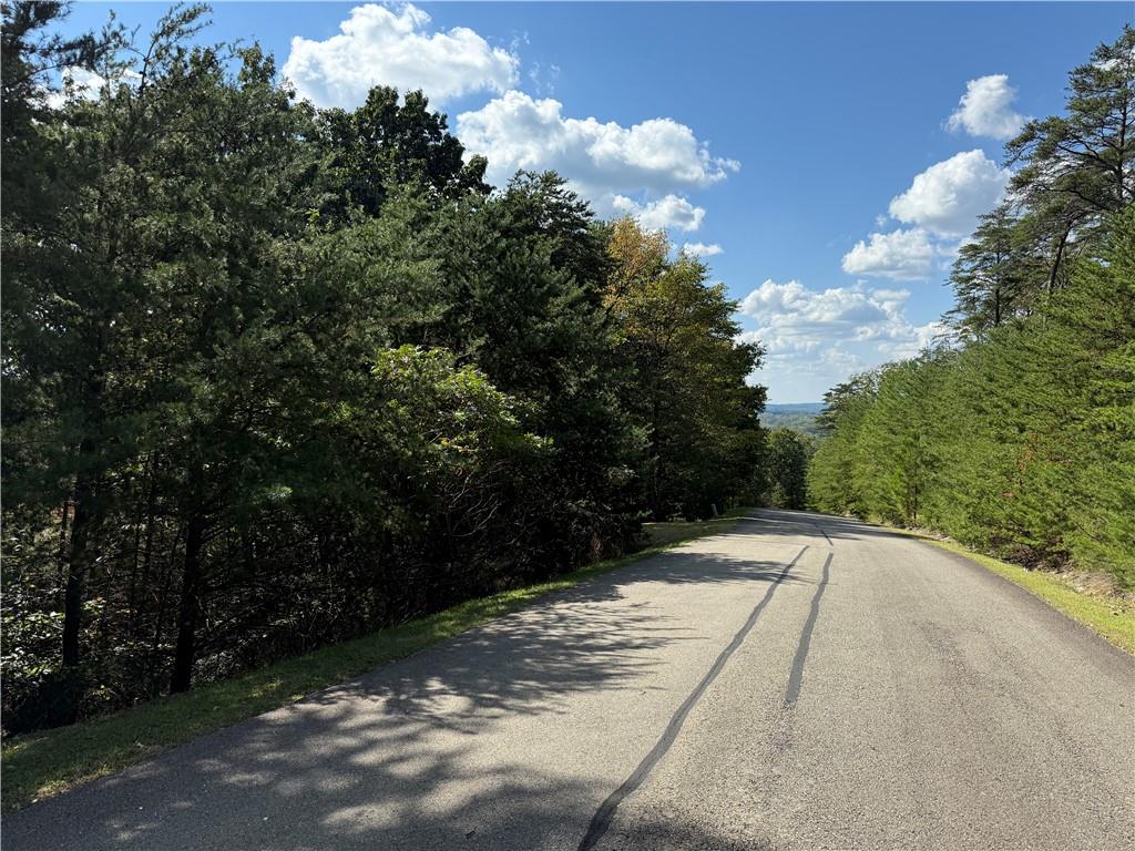 321 Stonehaven Court Jasper, GA 30143 - Photo 9 of 15 a view of an outdoor space
