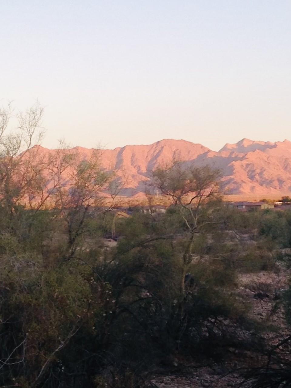18375 Verdin Road Goodyear, AZ 85338 - Photo 29 of 30 Verdin 2