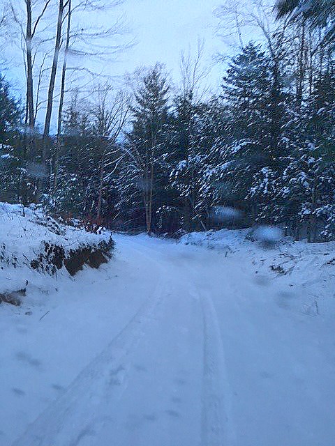 0 Vt Rte 116 Starksboro, VT 05487 - Photo 4 of 5 Gallery Image 4