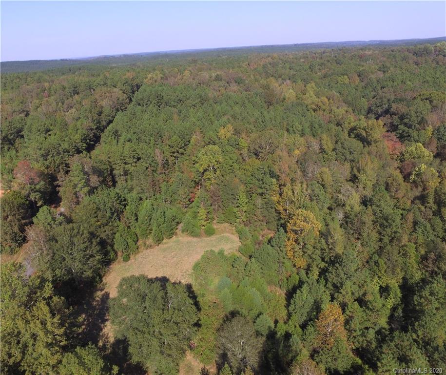 40 Acres Pilgrim Road Chester, SC 29706 - Photo 14 of 44 Gallery Image 14
