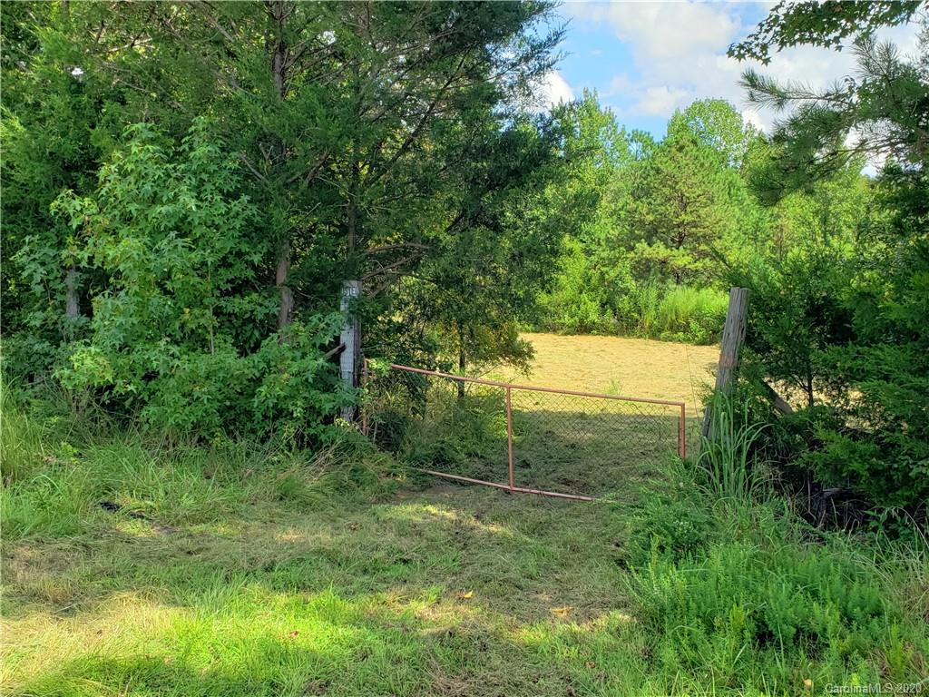 40 Acres Pilgrim Road Chester, SC 29706 - Photo 22 of 44 Gallery Image 22