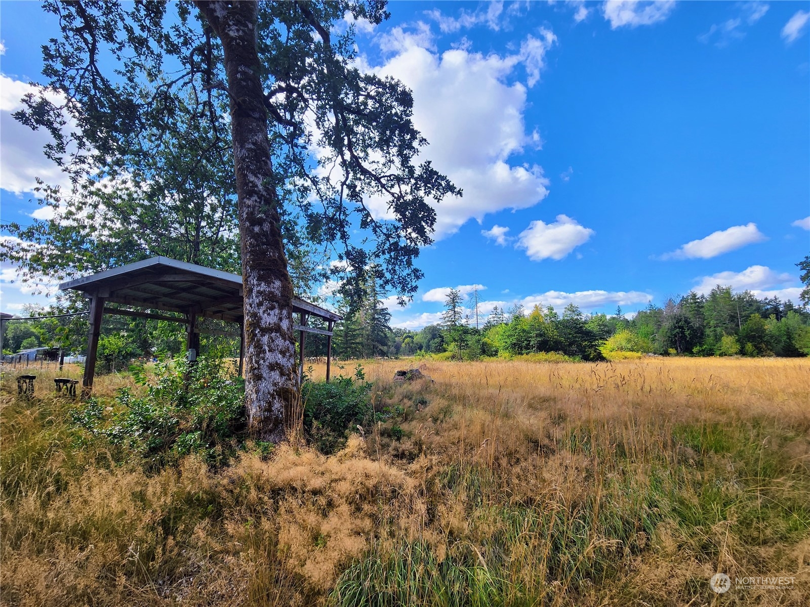 936 Tucker Road Toledo, WA 98591 - Photo 11 of 34 a view of an outdoor space and a yard