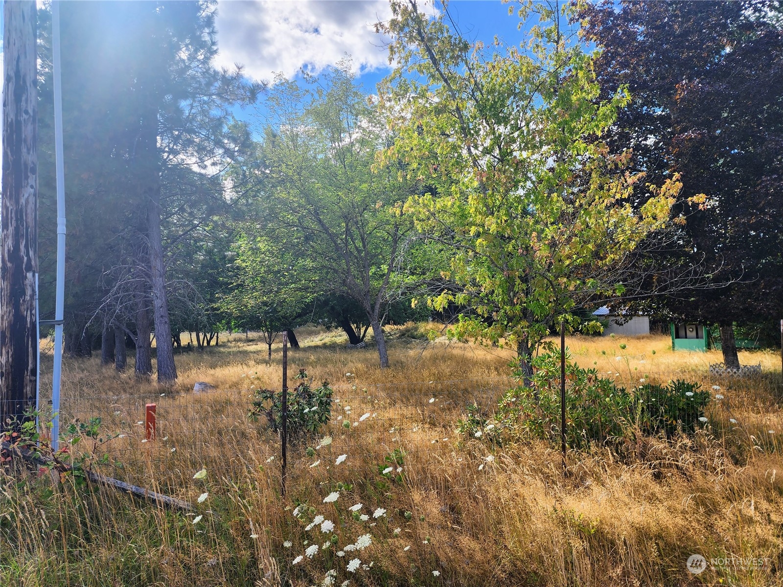 936 Tucker Road Toledo, WA 98591 - Photo 4 of 34 a view of yard