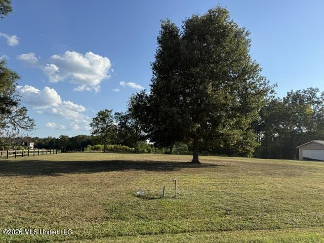 119 Goodhope Road Lake, MS 39092 - Photo 9 of 28 IMG_9033