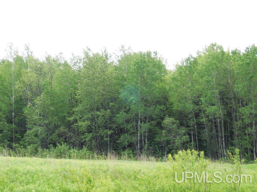 Tbd Co Rd 437 Cooks, MI 49817 - Photo 3 of 7