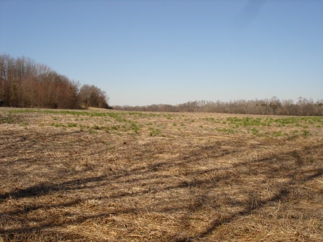 0 Minnicks-Johnson Road Franklin, KY 42134 - Photo 11 of 12 Gallery Image 11