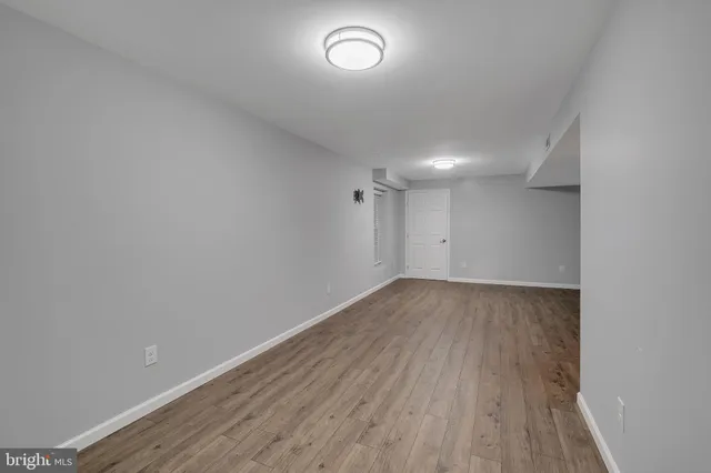 a view of a yard with plants and trees