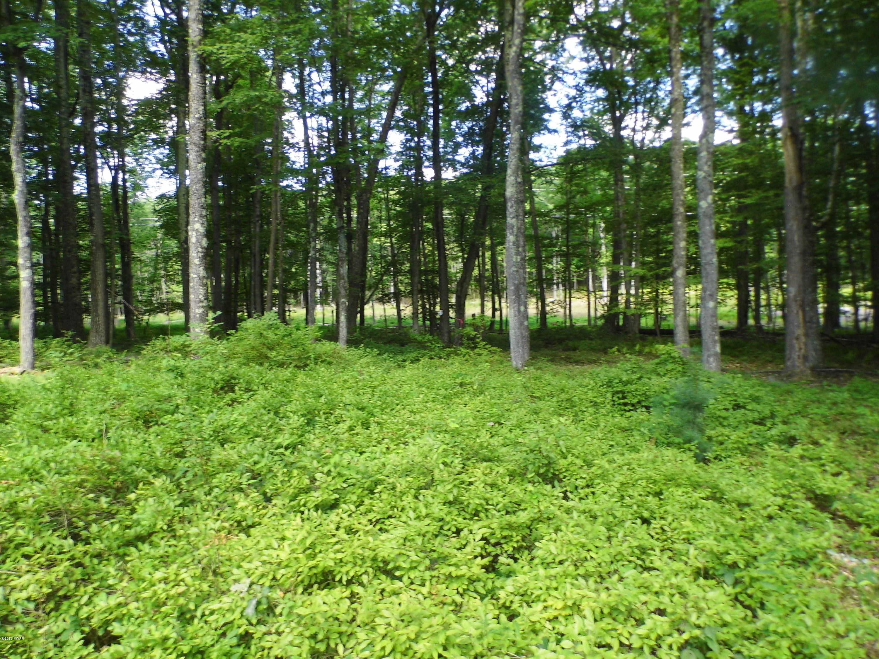 Hoadleys Road Hawley, PA 18428 - Photo 3 of 7