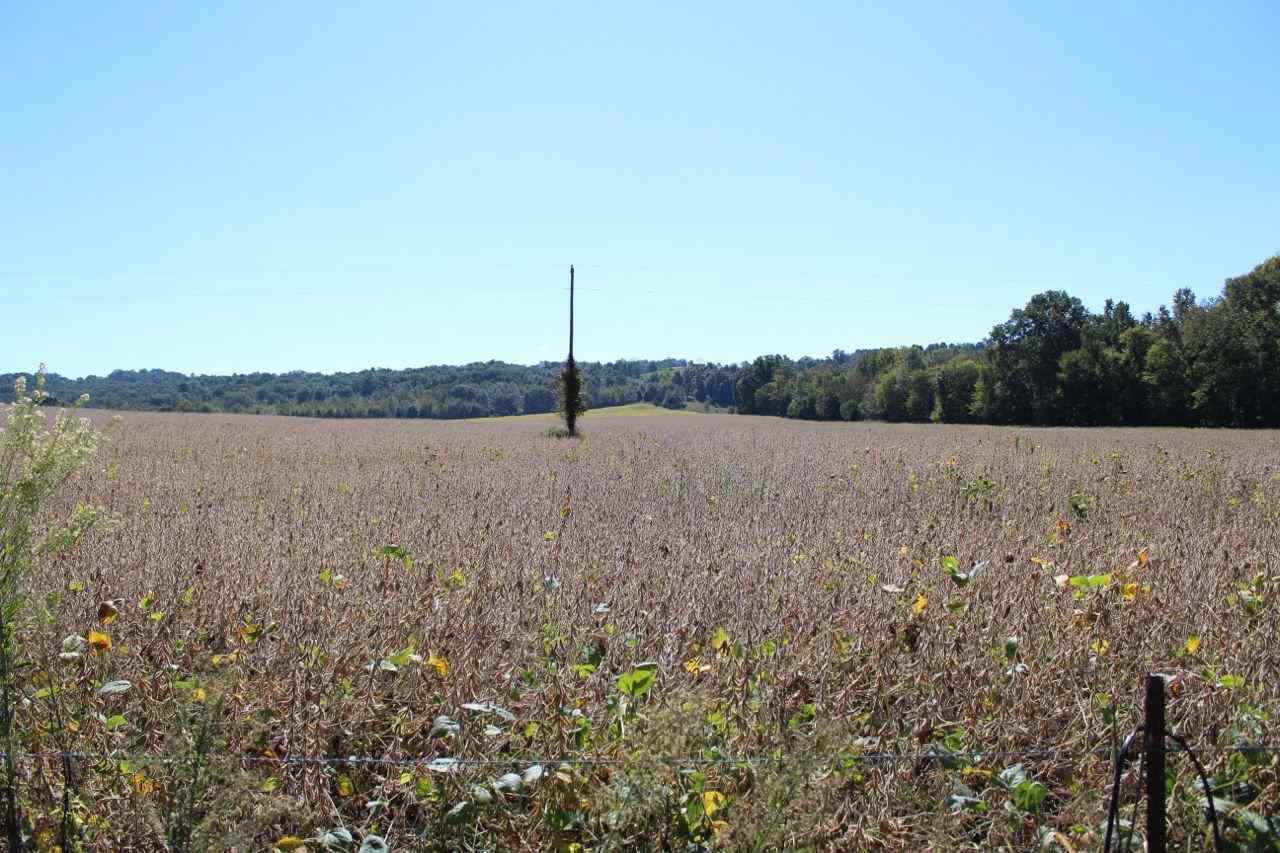 Amber White Road Bowling Green, KY 42101 - Photo 4 of 20 Gallery Image 4