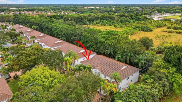 a view of a backyard with couches plants and large trees