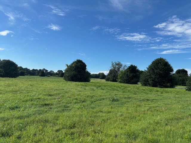 7 T Hungars Point, Unit 7T Machipongo, VA 23405 - Photo 7 of 32 a view of grassy field with mountain