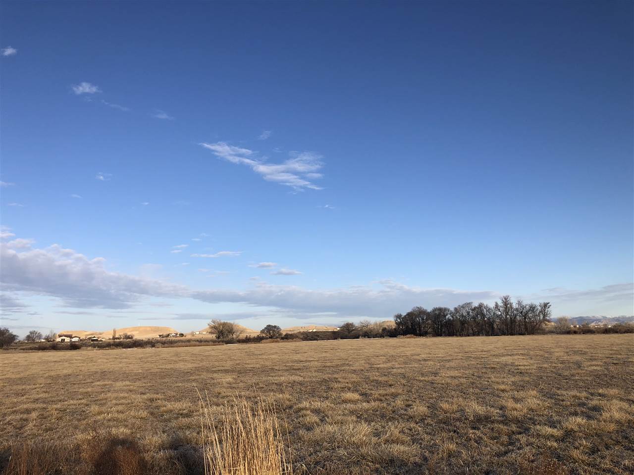 1471 17 3/4 Road Fruita, CO 81521 - Photo 3 of 4