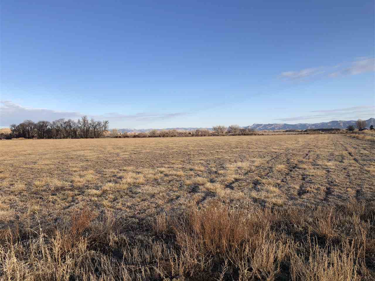1471 17 3/4 Road Fruita, CO 81521 - Photo 4 of 4 a view of an ocean