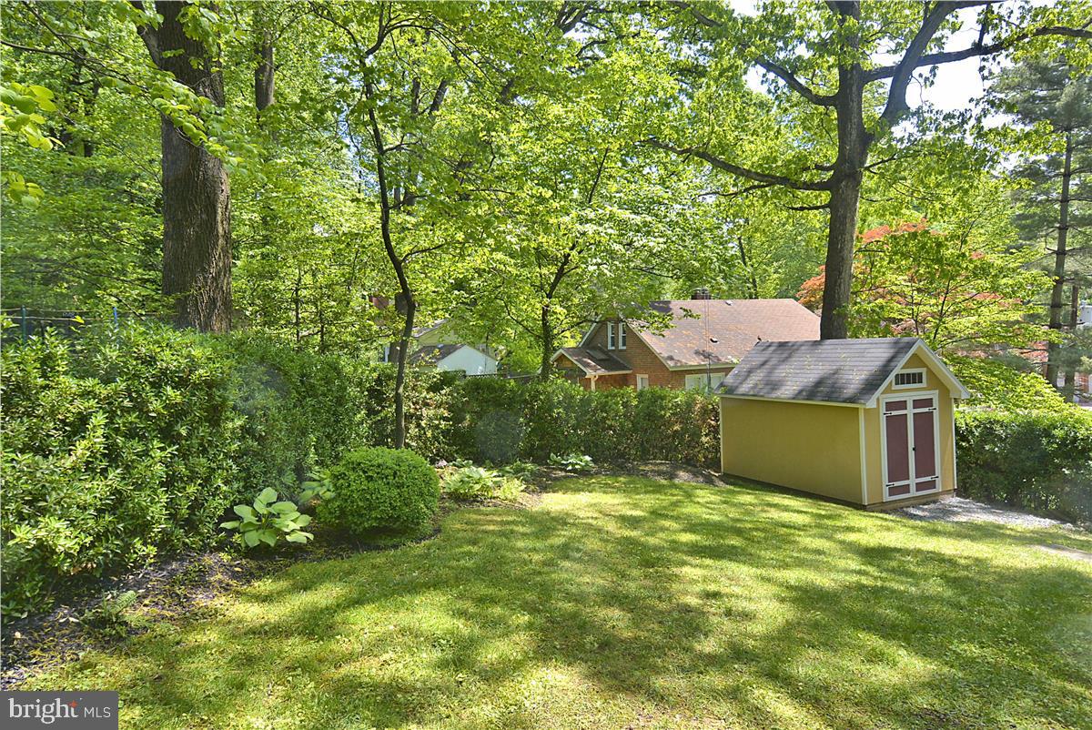 5303 Waneta Road Bethesda, MD 20816 - Photo 31 of 40 Springtime in the back yard