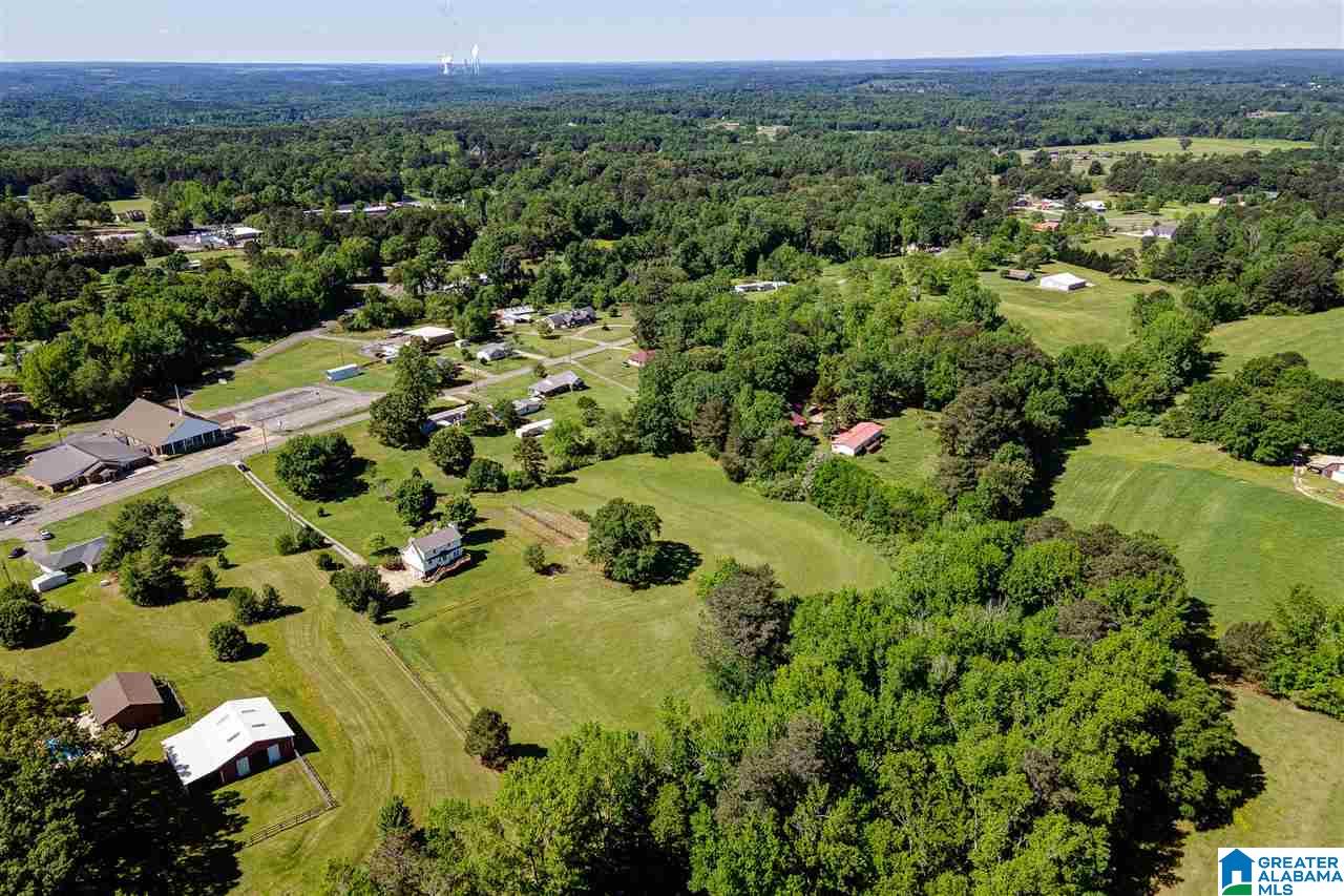 4523 Greathouse Road Dora, AL 35062 - Photo 36 of 50