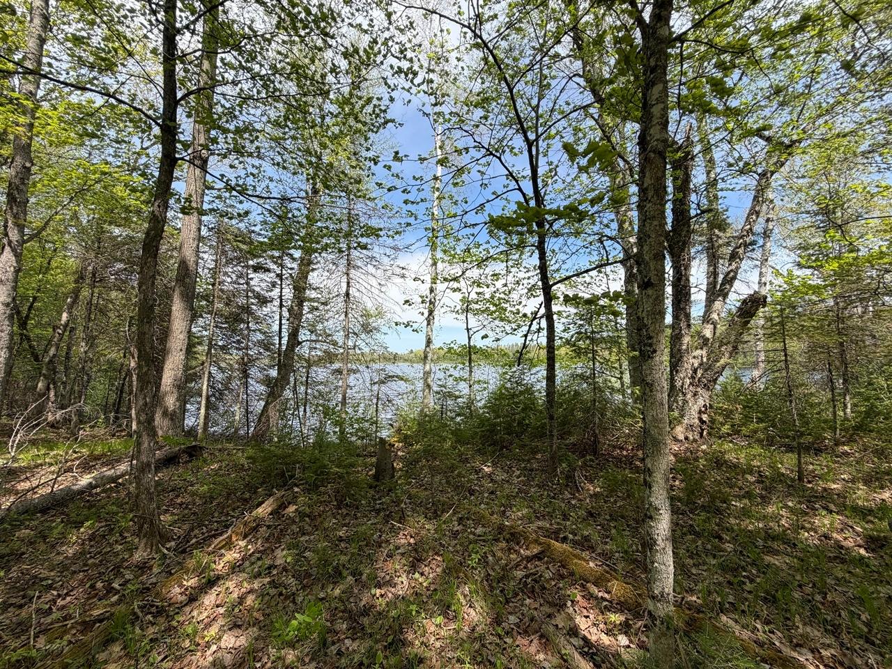 Lot 6 Cth H Mercer, WI 54547 - Photo 3 of 17 Gallery Image 3