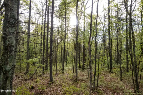 $102,000 | 0 Amory Lane, Sheffield, MA 01259