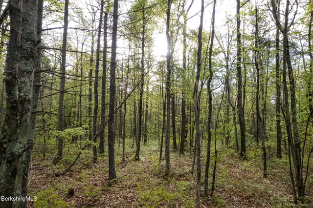 $125,000 | 0 Amory Lane, Sheffield, MA 01259