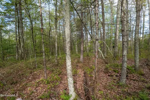 $125,000 | 0 Amory Lane, Sheffield, MA 01259