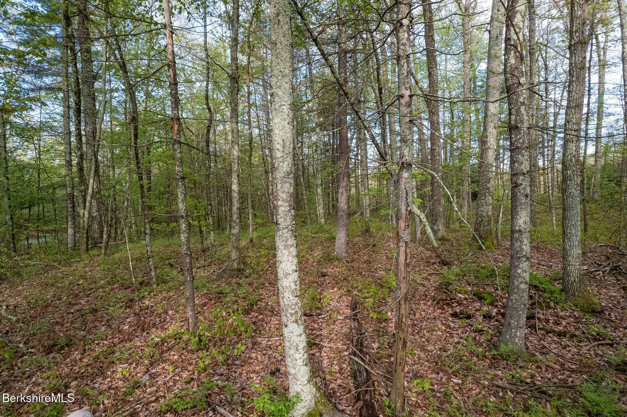 0 Amory Lane Sheffield, MA 01259 - Photo 3 of 9 And partially Sheffield