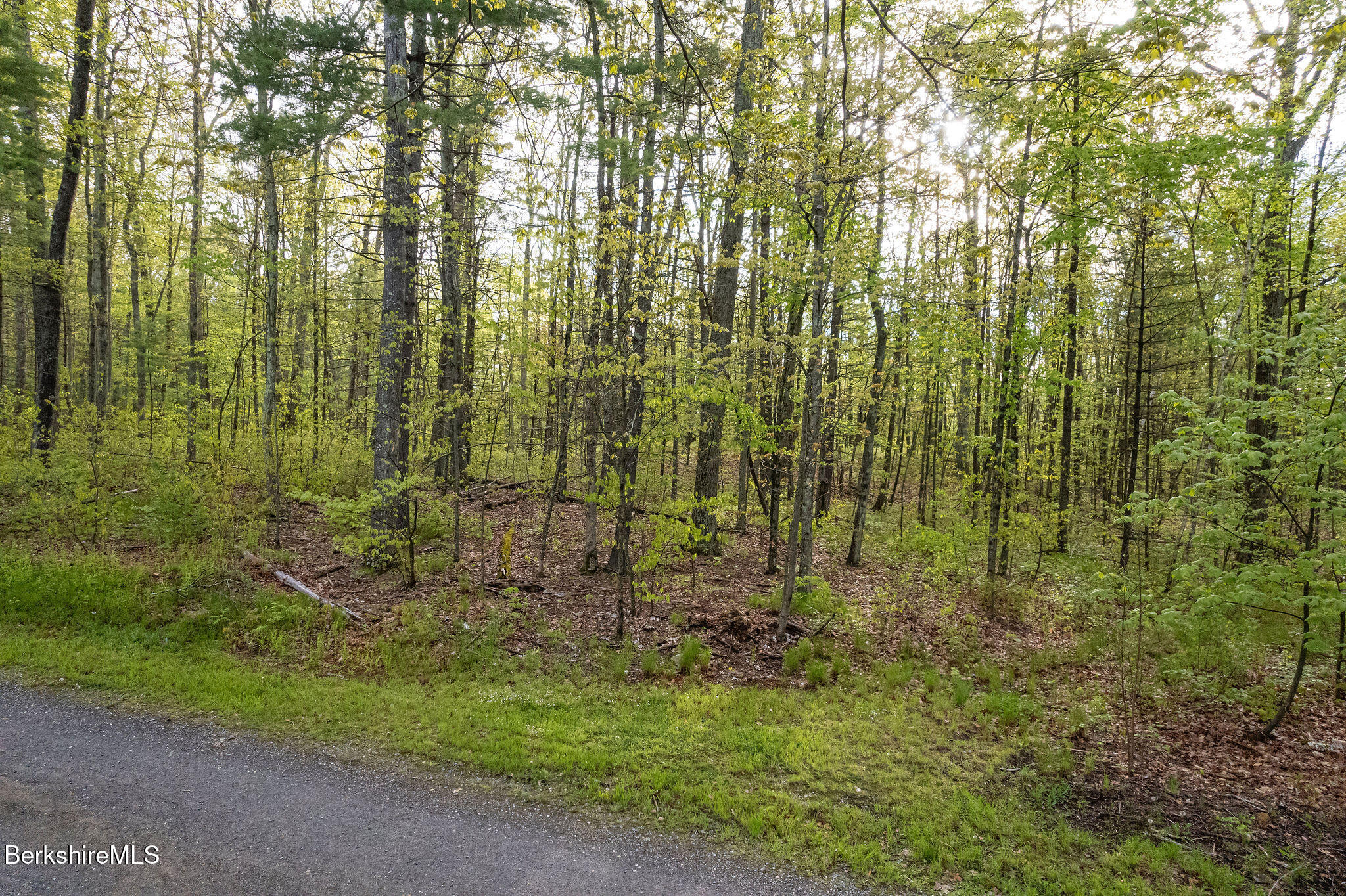 0 Amory Lane Sheffield, MA 01259 - Photo 4 of 9 In cul de sac