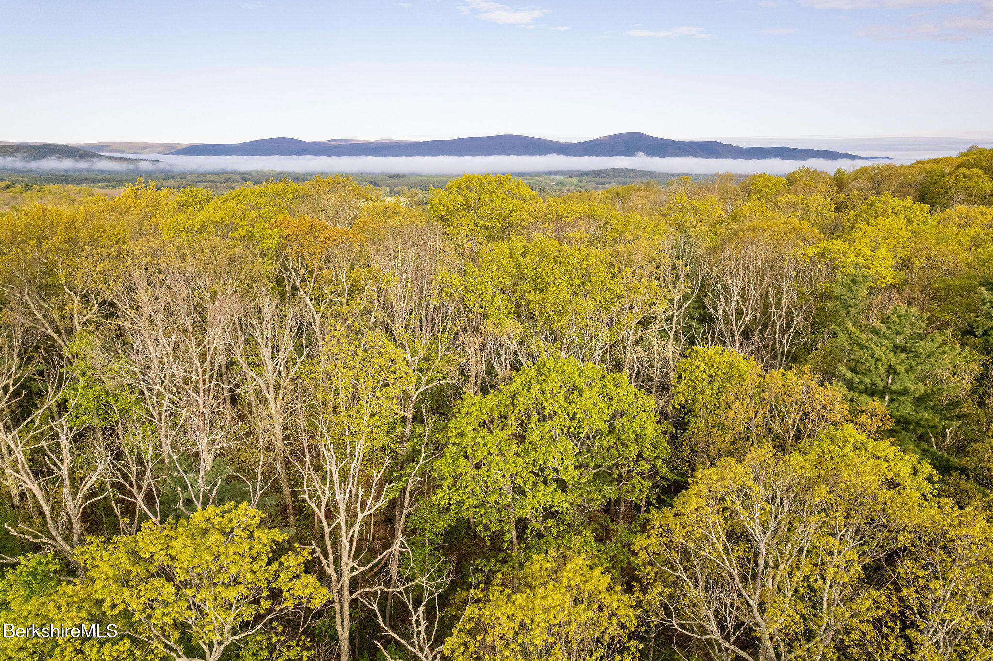 0 Amory Lane Sheffield, MA 01259 - Photo 8 of 9 With potential views