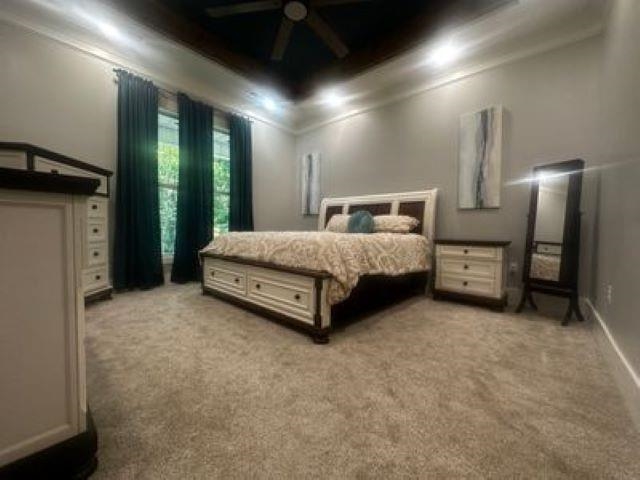 217 Liberty Road Jackson, TN 38305 - Photo 6 of 25 a spacious bedroom with a bed and a walk in closet