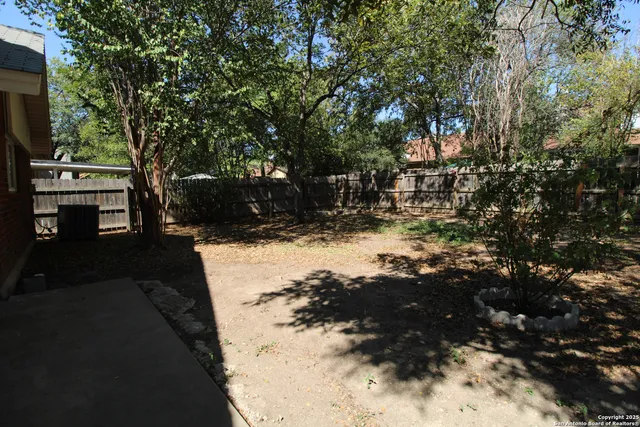 a view of a backyard with a large tree