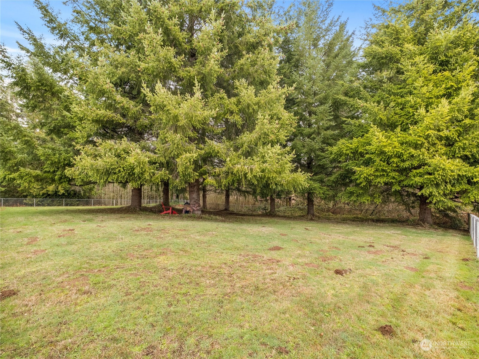18615 Roseburg Street Southwest Rochester, WA 98579 - Photo 11 of 40 a view of a yard with a trees