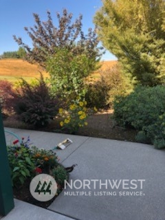 18615 Roseburg Street Southwest Rochester, WA 98579 - Photo 39 of 40 a view of a garden with an outdoor space