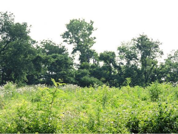 0 Salem Ridge Road Aurora, IN 47001 - Photo 1 of 3