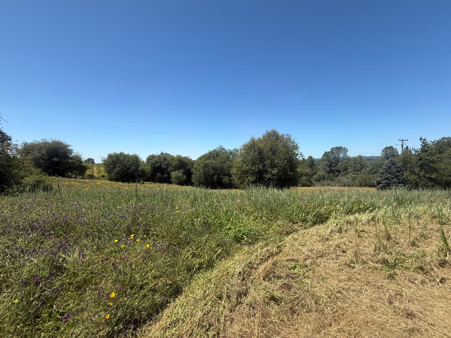 2322 Myrick Road Somerset, CA 95684 - Photo 15 of 30 a view of lake and green space