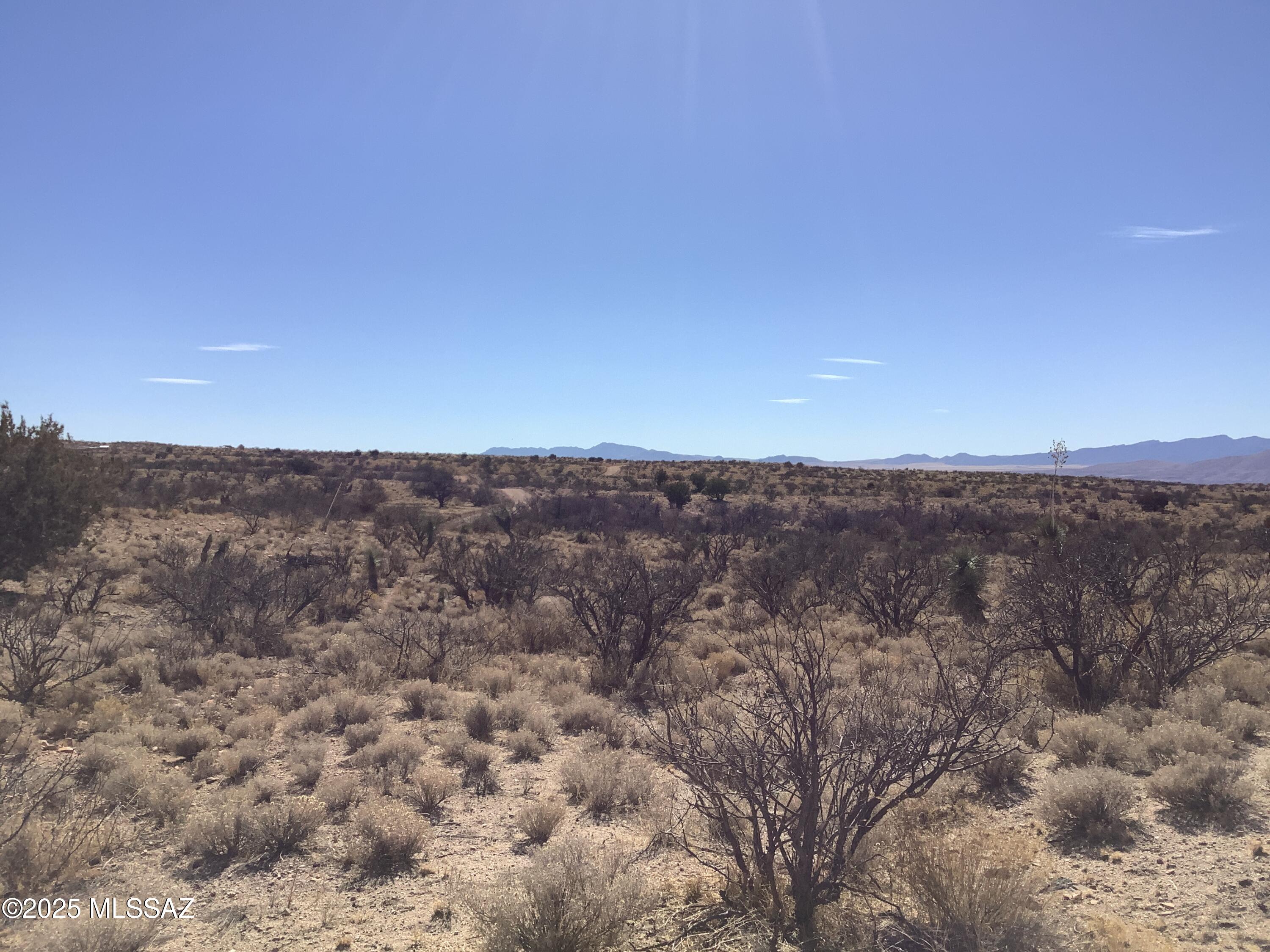 37.21-ac West Sheepwash Road, Unit 254 Willcox, AZ 85643 - Photo 10 of 37