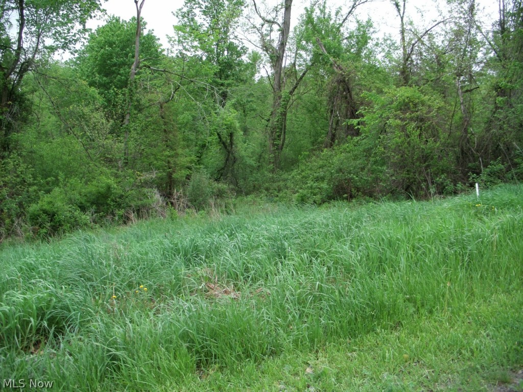 0 Twinbeech Road Bridgeport, OH 43912 - Photo 2 of 3 Gallery Image 2