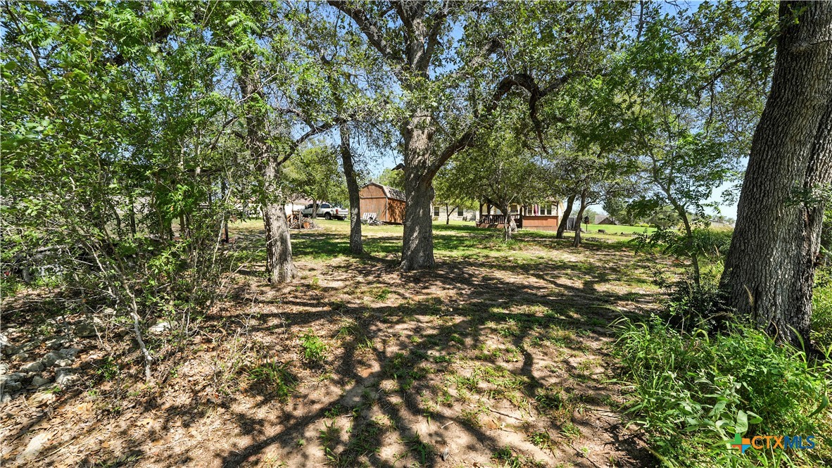 121 Carrizo Ridge Floresville, TX 78114 - Photo 42 of 43 a backyard of a house with lots of green space
