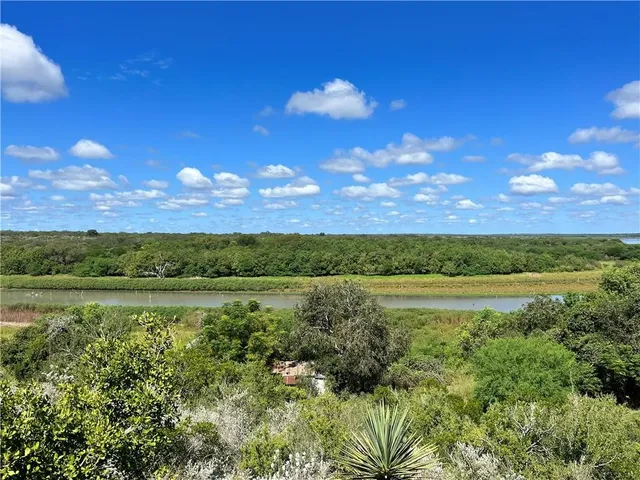 $417,000 | Lot 26 Shadywood Drive, Sandia, TX 78383