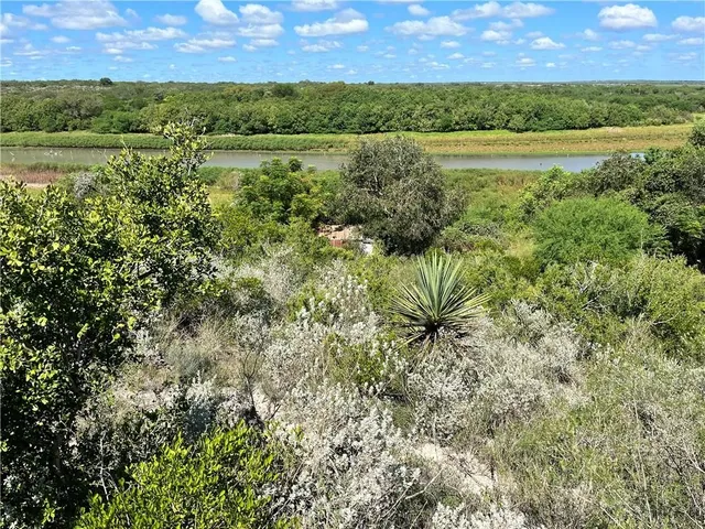 $417,000 | Lot 26 Shadywood Drive, Sandia, TX 78383