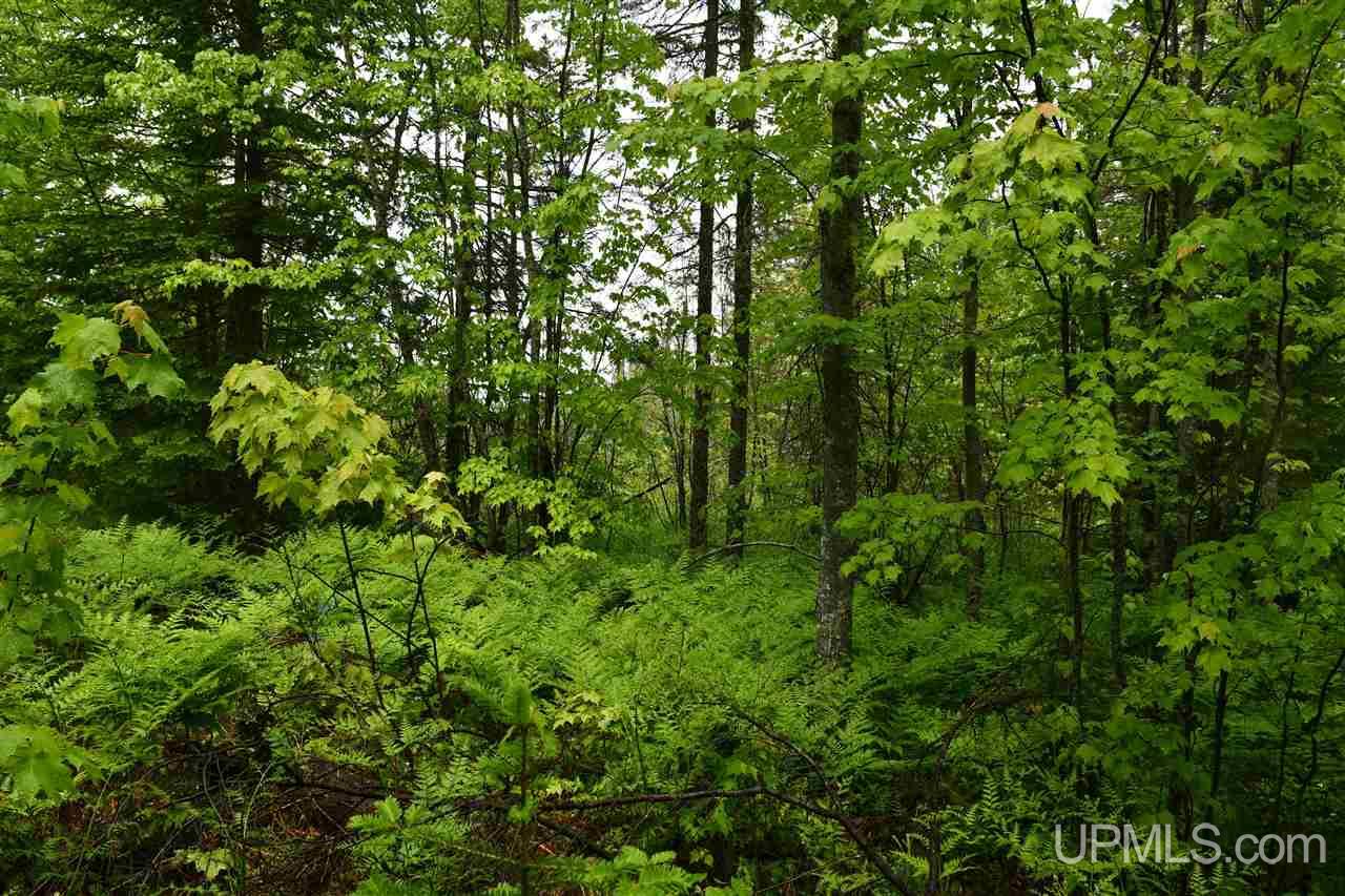 Tbd Mud Lake Road Lake Linden, MI 49945 - Photo 13 of 28