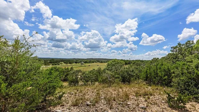 a view of a bunch of flowers