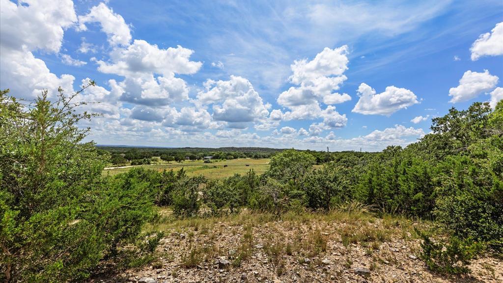 Undisclosed Address Spring Branch, TX 78070 - Photo 2 of 15 a view of a bunch of flowers