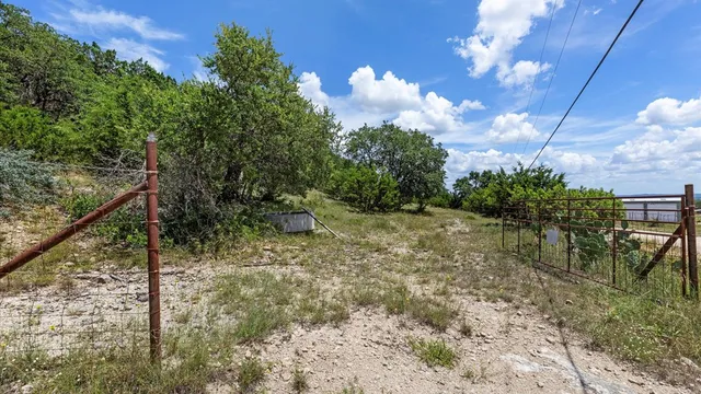 a view of a yard with plants and a bench