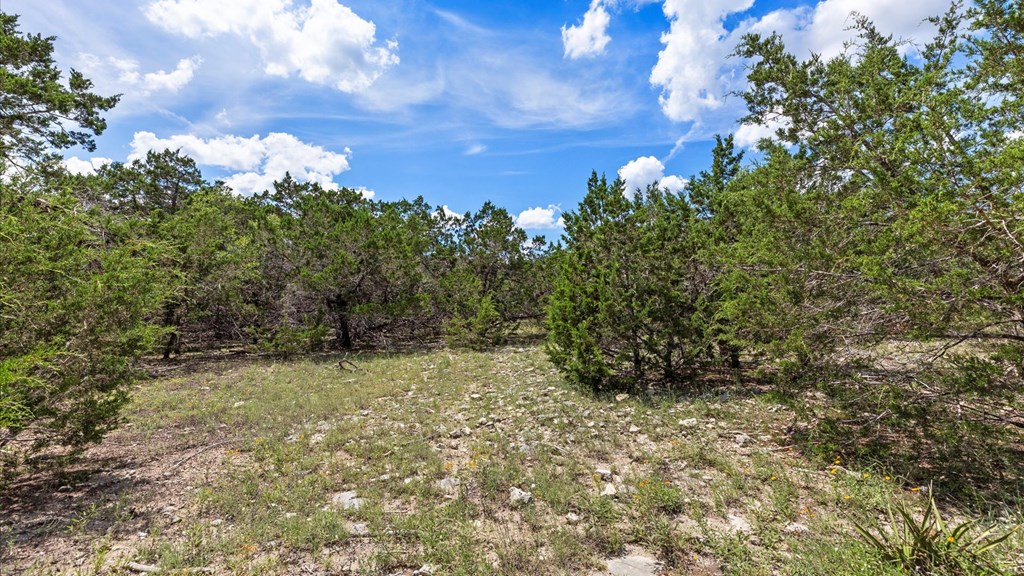 Undisclosed Address Spring Branch, TX 78070 - Photo 5 of 15 a view of a bunch of trees