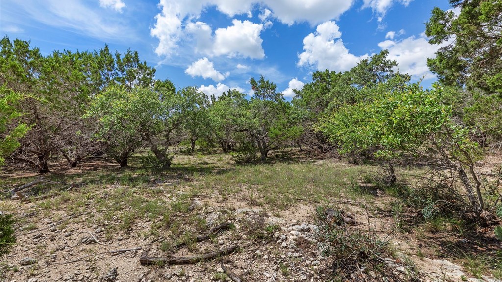 Undisclosed Address Spring Branch, TX 78070 - Photo 6 of 15 a view of a big yard with lots of green space