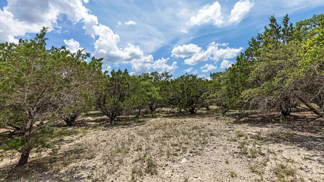 a view of outdoor space and yard