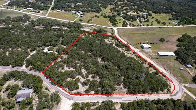 a view of a yard with plants