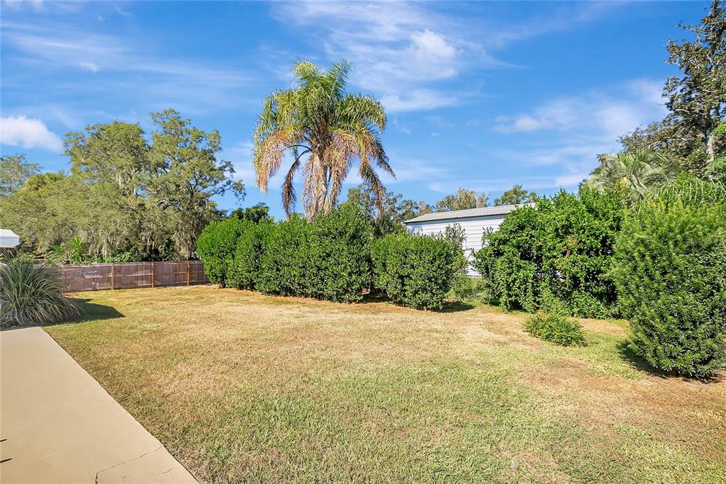 114 Barkfield Street Brandon, FL 33511 - Photo 55 of 59 a view of a backyard of a house