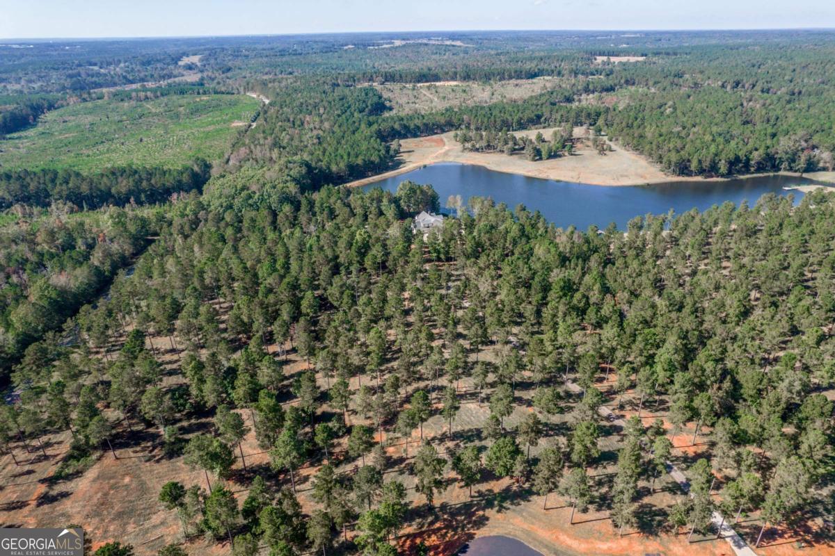 475 Pea Ridge Road Eatonton, GA 31024 - Photo 1 of 1 Gallery Image 1