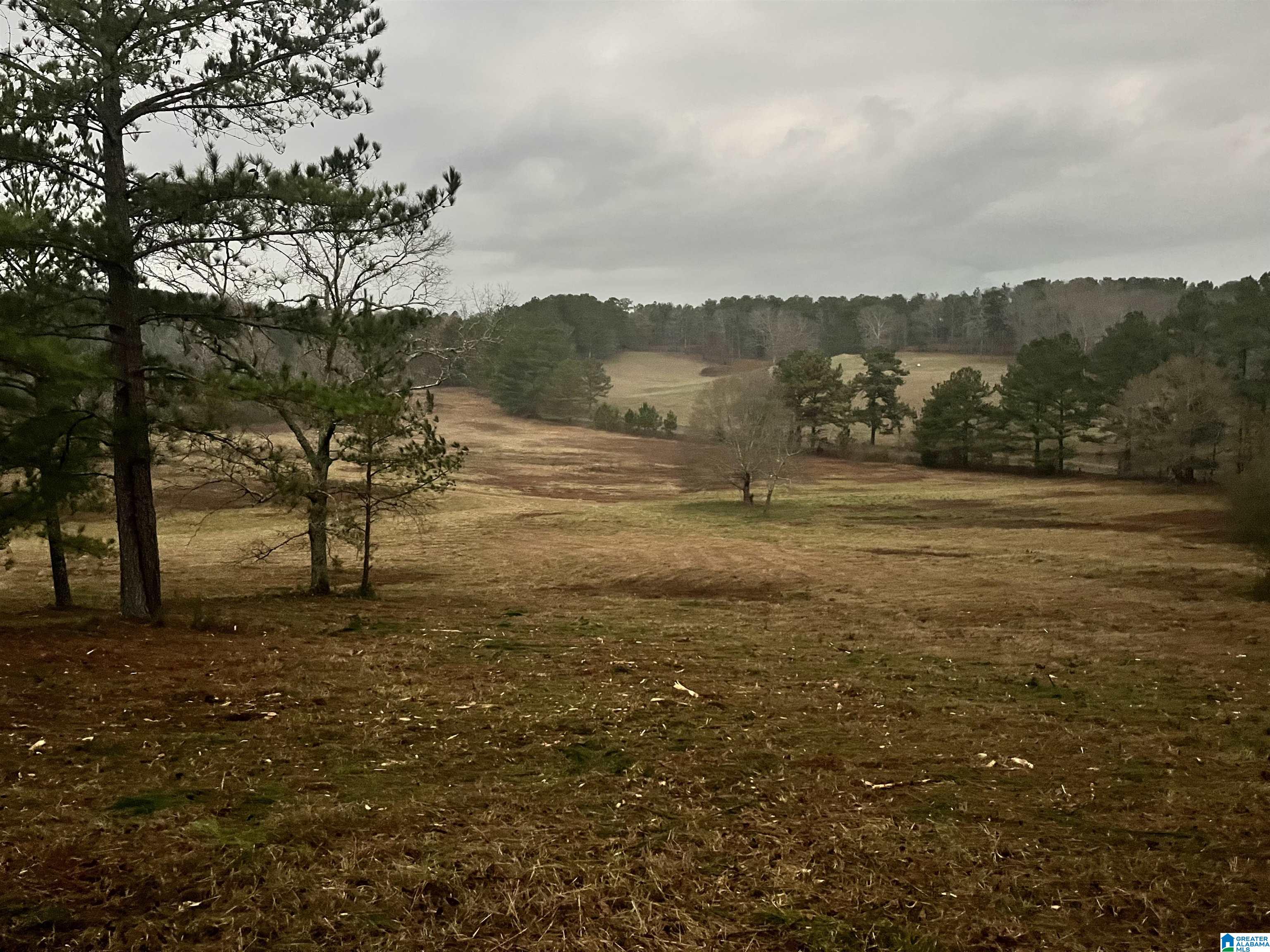 2020 Church Road, Unit 2020 Pell City, AL 35128 - Photo 1 of 16