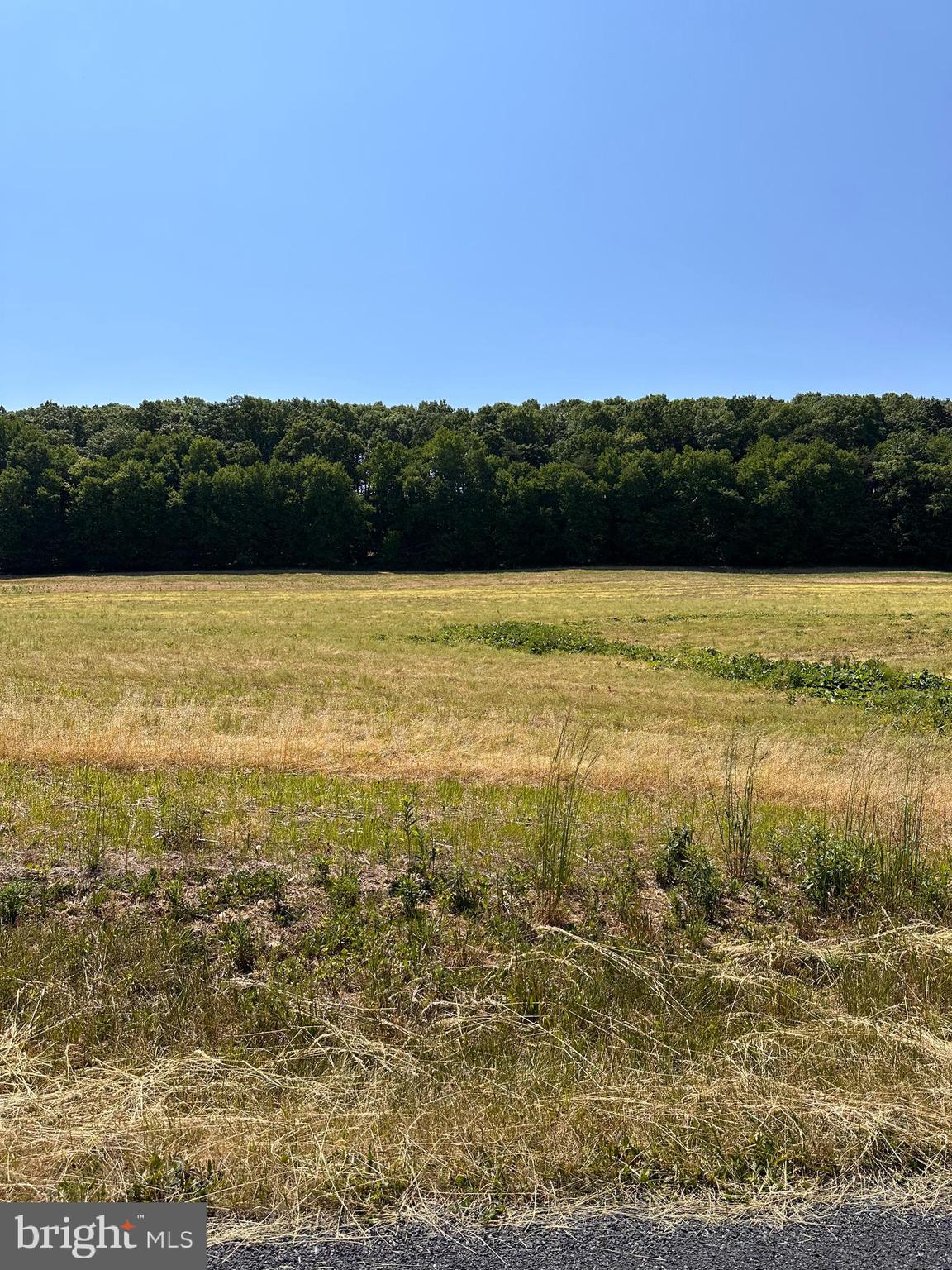 0 Kline Hollow Road Liverpool, PA 17045 - Photo 2 of 8 Gallery Image 2