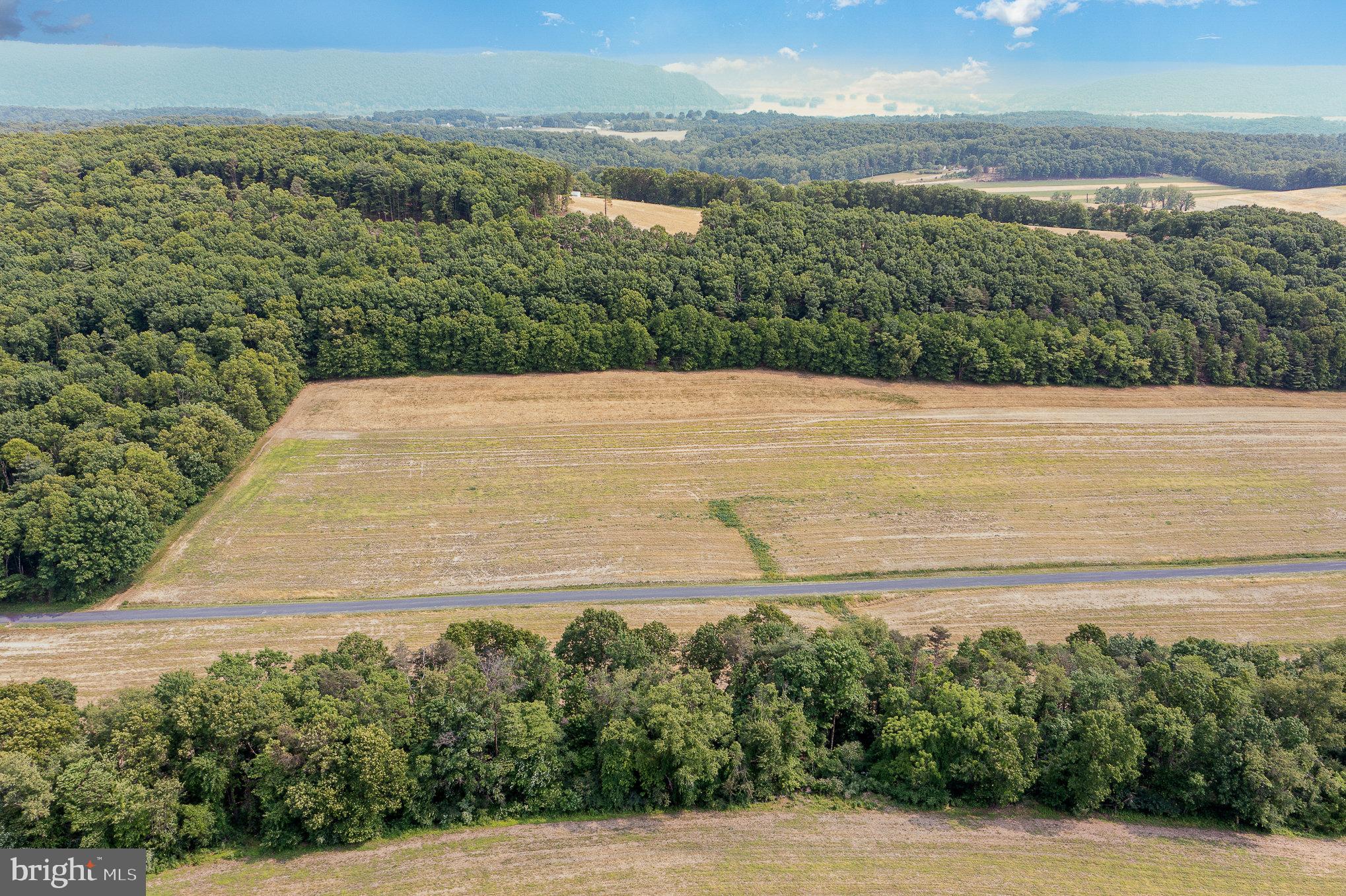 0 Kline Hollow Road Liverpool, PA 17045 - Photo 3 of 8 Gallery Image 3
